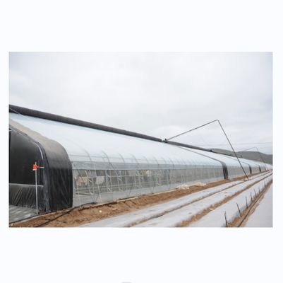 Boost Winter Crop Growth Single Span Agricultural Greenhouses Height 3.5-5M
