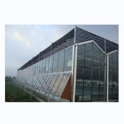 Hot Galvanized Steel Frame Structure Venlo Glass Greenhouses for Vegetable Agriculture