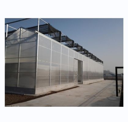 Strong Resistance Multi Span Venlo PC Sheet Greenhouse Arch Polycarbonate Greenhouse