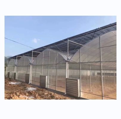 Vegetable Fruits Flowers Film Greenhouse Chinese Multi Span Greenhouse for Tomato Agriculture