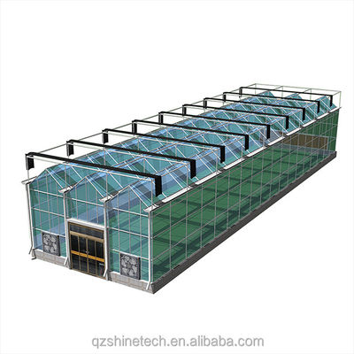 Galvanized Steel Frame Glass Covered Agriculture Greenhouse with Installation Drawing