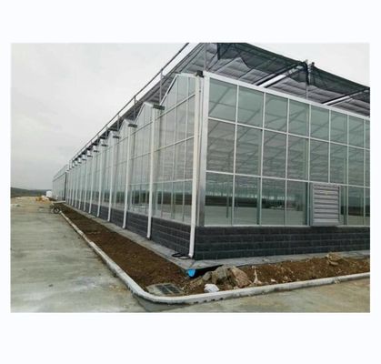 Super Strong Resistance Venlo Glass Greenhouse for Commercial Agricultural Turnkey Project
