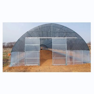 High Tunnel Film Covered Tomato Greenhouse with Shade Net Single Layer 10-100m Length