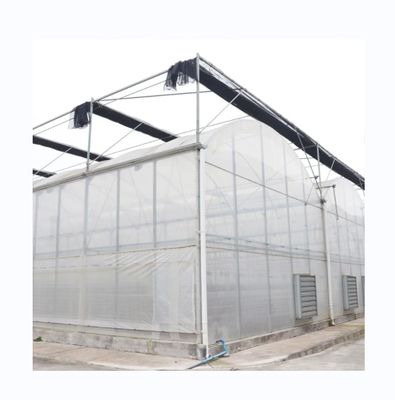 Multi Span Agricultural Film Greenhouse With Super Strong Resistance