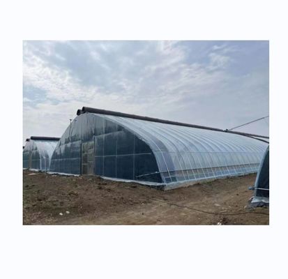 PE Single Layer Solar Tunnel Agricultural Greenhouse 4-6M Height