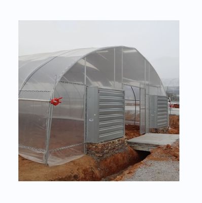 Cooling System Single Span Agricultural Greenhouses For Tomato Agriculture