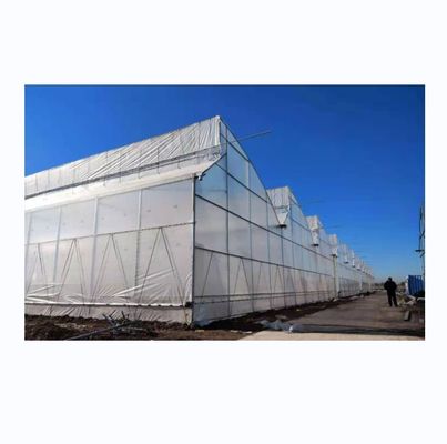Large Sawtooth Greenhouse Shine Tech Poly Tunnel Tropical Greenhouse With Ventilation