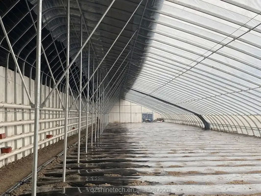 Boost Winter Crop Growth Single Span Agricultural Greenhouses Height 3.5-5M