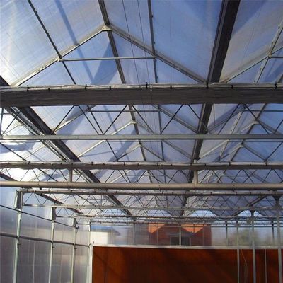 8m 9.6m 12m Span Width Agriculture Greenhouse For Hybrid Tomato Seeds And Vegetables