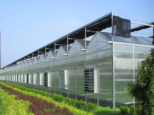 8m 9.6m 12m Span Width Agriculture Greenhouse For Hybrid Tomato Seeds And Vegetables