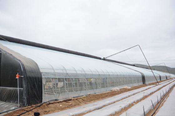 Boost Winter Crop Growth Single Span Agricultural Greenhouses Height 3.5-5M