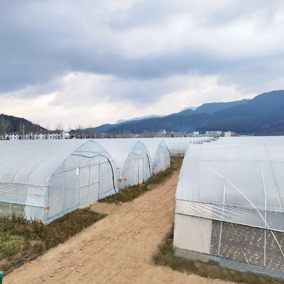 2.5-5M Height Tomato Hydroponic High Tunnel Agriculture Greenhouse with Film Cover