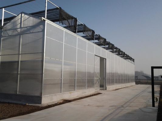 8m 9.6m 12m Span Width Agriculture Greenhouse For Hybrid Tomato Seeds And Vegetables
