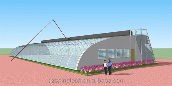 Boost Winter Crop Growth Single Span Agricultural Greenhouses Height 3.5-5M