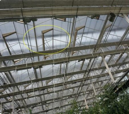 Hot Galvanized Steel Frame Structure Venlo Glass Greenhouses for Vegetable Agriculture