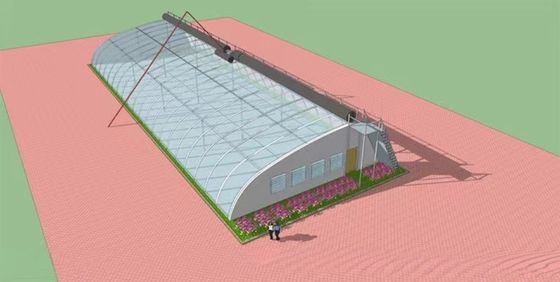 Boost Winter Crop Growth Single Span Agricultural Greenhouses Height 3.5-5M