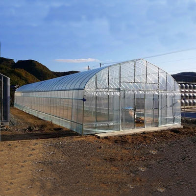 2.5-5M Height Tomato Hydroponic High Tunnel Agriculture Greenhouse with Film Cover