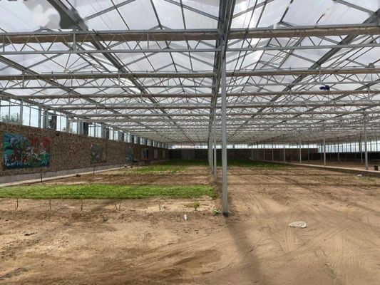 8m 9.6m 12m Span Width Agriculture Greenhouse For Hybrid Tomato Seeds And Vegetables