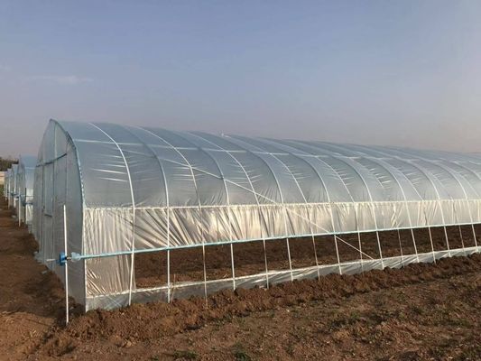 2.5-5M Height Tomato Hydroponic High Tunnel Agriculture Greenhouse with Film Cover