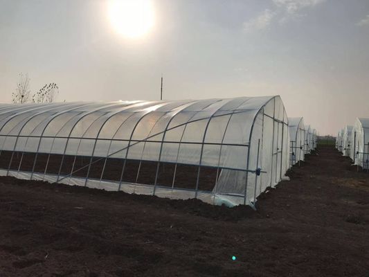 2.5-5M Height Tomato Hydroponic High Tunnel Agriculture Greenhouse with Film Cover