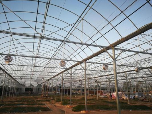4.0-8.0M Height Agriculture Multi Span Plastic Film Greenhouse For Tomato Turnkey Project