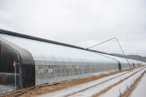 150/200 Micro Film Covered Solar Greenhouse For Yield Cucumber Farming