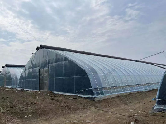150/200 Micro Film Covered Solar Greenhouse For Yield Cucumber Farming