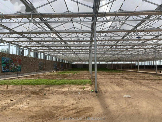 Sturdy And Large Greenhouse Agriculture Polycarbonate With Galvanized Steel Frame