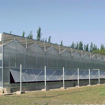 Sturdy And Large Greenhouse Agriculture Polycarbonate With Galvanized Steel Frame