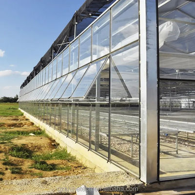 Large Venlo Glass Greenhouse Ideal Solution for Vegetable Cultivation Turnkey Project