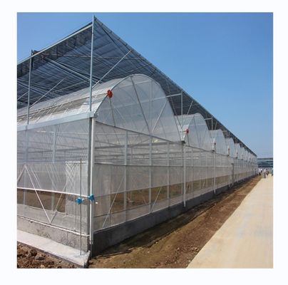 Film Cover Material Agriculture Multi Span Greenhouse with Galvanized Steel Pipe Tube