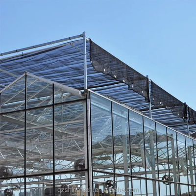 Large Venlo Glass Greenhouse Ideal Solution for Vegetable Cultivation Turnkey Project