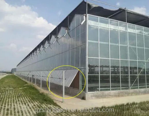Large Venlo Glass Greenhouse Ideal Solution for Vegetable Cultivation Turnkey Project