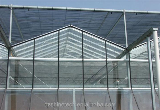 Large Venlo Glass Greenhouse Ideal Solution for Vegetable Cultivation Turnkey Project