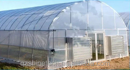 6m-10m Width Galvanized Steel Frame Single Span PE Film Greenhouse for Tomato