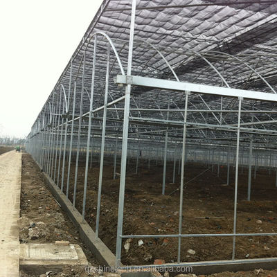 Film Cover Material Agriculture Multi Span Greenhouse with Galvanized Steel Pipe Tube