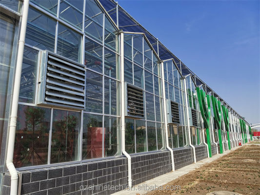 Large Venlo Glass Greenhouse Ideal Solution for Vegetable Cultivation Turnkey Project