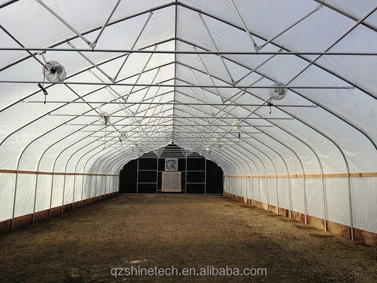 6m-10m Width Galvanized Steel Frame Single Span PE Film Greenhouse for Tomato