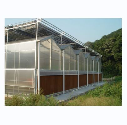 Commercial Agricultural Greenhouse with Hydroponic System and 8mm PC Sheet Covering