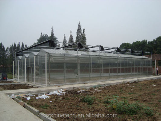 Commercial Agricultural Greenhouse with Hydroponic System and 8mm PC Sheet Covering
