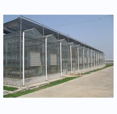 Large Agricultural Greenhouse with Galvanized Steel Frame and Optional Cooling System
