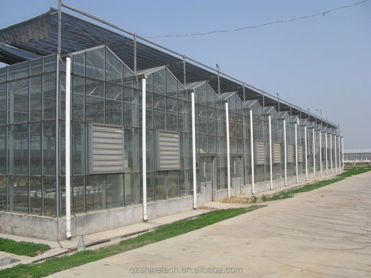 Large Agricultural Greenhouse with Galvanized Steel Frame and Optional Cooling System