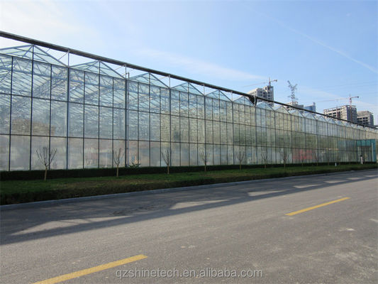 Large Agricultural Greenhouse with Galvanized Steel Frame and Optional Cooling System