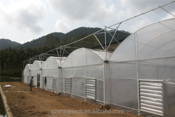 Easy Assembled Tomato Agricultural Kit Frame Greenhouse With Super Strong Resistance