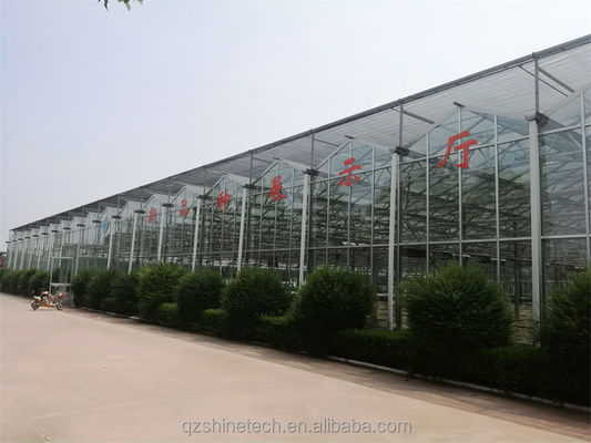 Large Agricultural Greenhouse with Galvanized Steel Frame and Optional Cooling System
