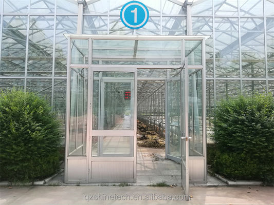 Large Agricultural Greenhouse with Galvanized Steel Frame and Optional Cooling System