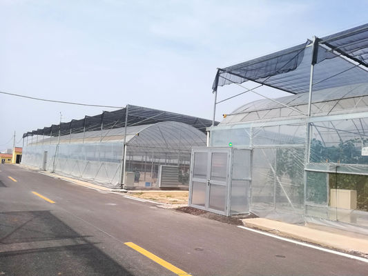 Easy Assembled Tomato Agricultural Kit Frame Greenhouse With Super Strong Resistance