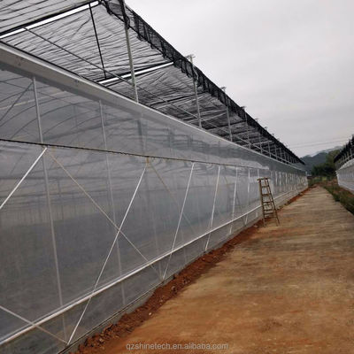 Easy Assembled Tomato Agricultural Kit Frame Greenhouse With Super Strong Resistance