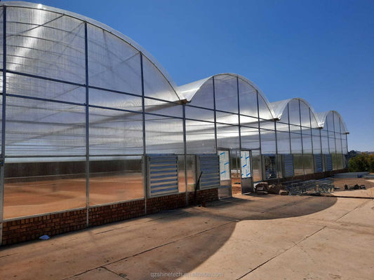Strong Resistance Multi Span Venlo PC Sheet Greenhouse Arch Polycarbonate Greenhouse