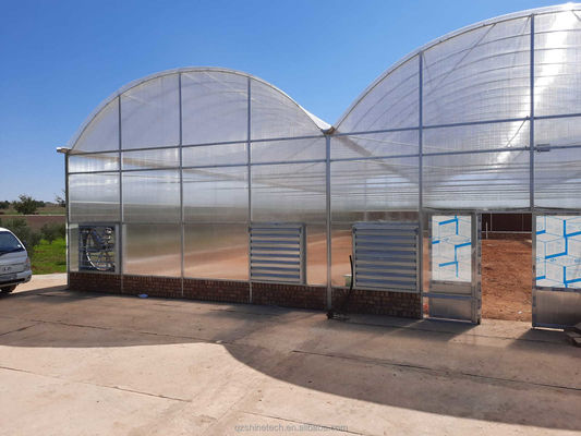 Strong Resistance Multi Span Venlo PC Sheet Greenhouse Arch Polycarbonate Greenhouse